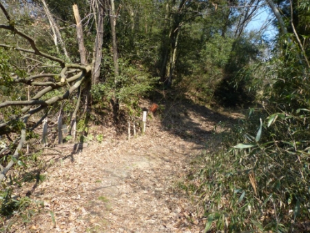 画像26